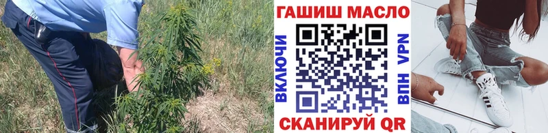 ТГК Wax  Балаково 