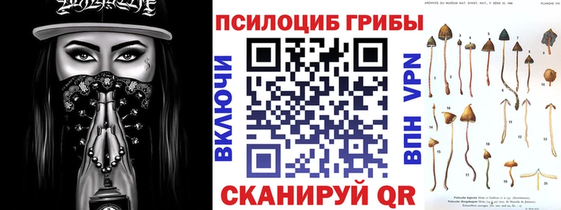 Псилоцибиновые грибы MAGIC MUSHROOMS  как найти   Балаково 